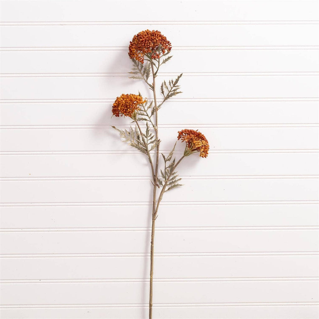 Fall Yarrow Stem