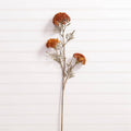Fall Yarrow Stem