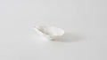 Small Oyster Bowl in Shatterproof Melamine