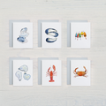 Watercolor Coastal Card Set: 6 Assorted Shell & Buoy Designs