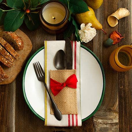 Coastal Striped Cloth Napkin - Set of 4