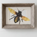 Mary Holden Original Bee Watercolor Painting
