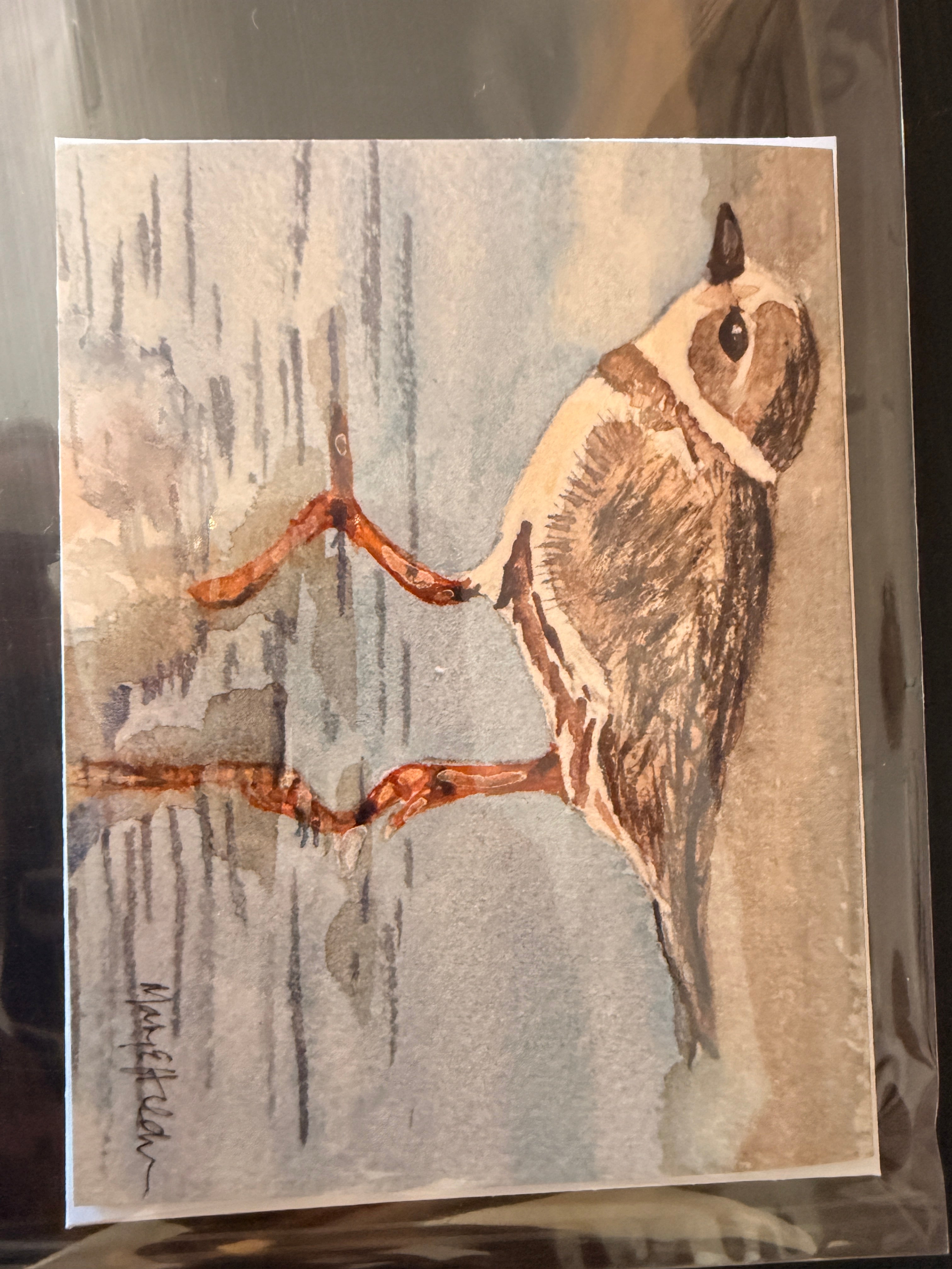 Assorted Watercolor Notecards by Mary Holden