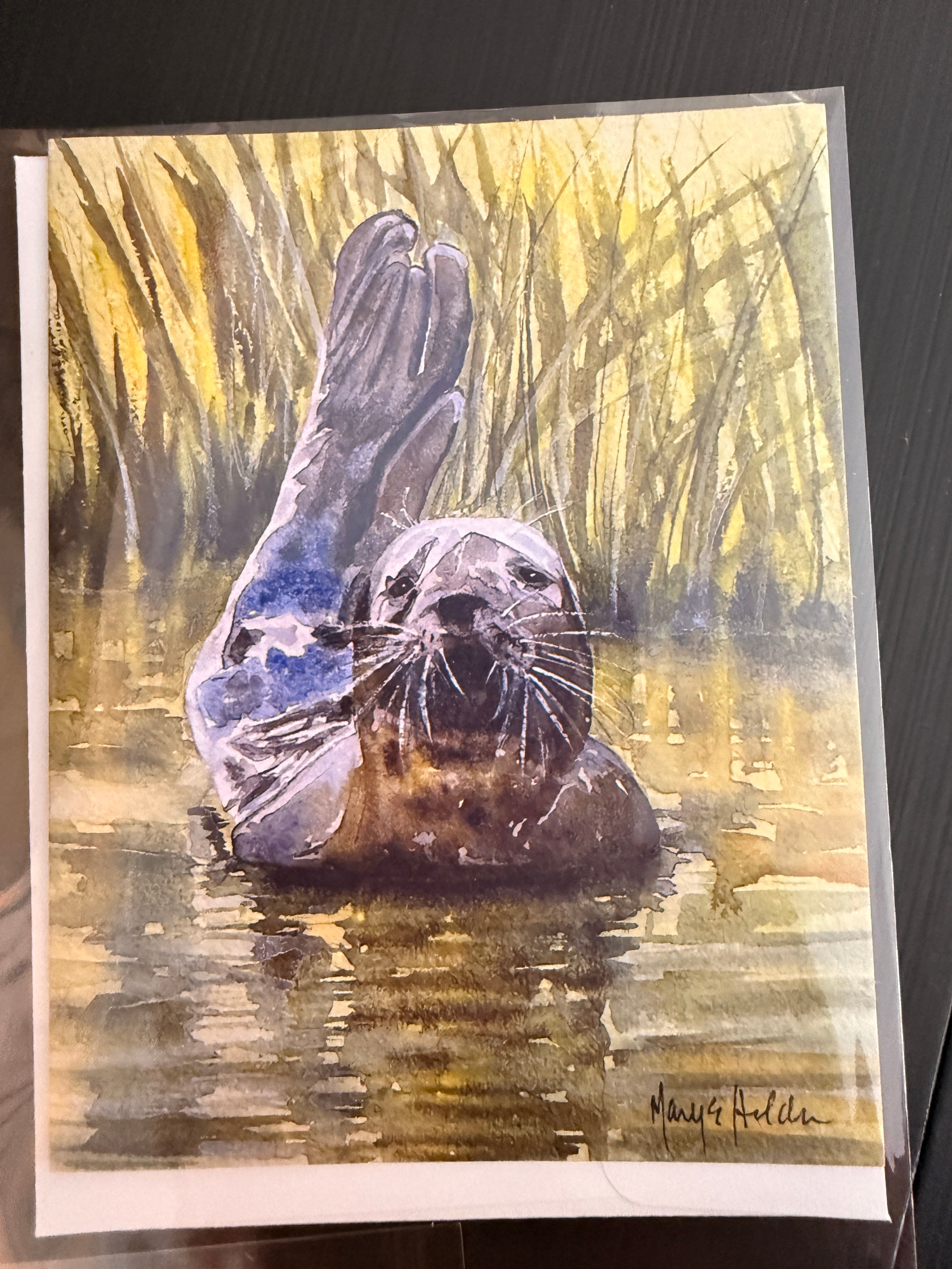 Assorted Watercolor Notecards by Mary Holden