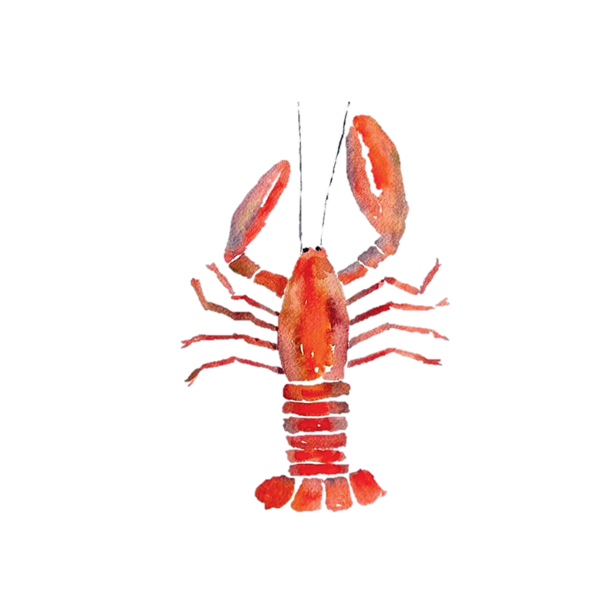 Watercolor Lobster Note Card
