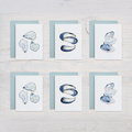 Blue Shells Watercolor Note Card Set (Mussels, Oysters, Clams)