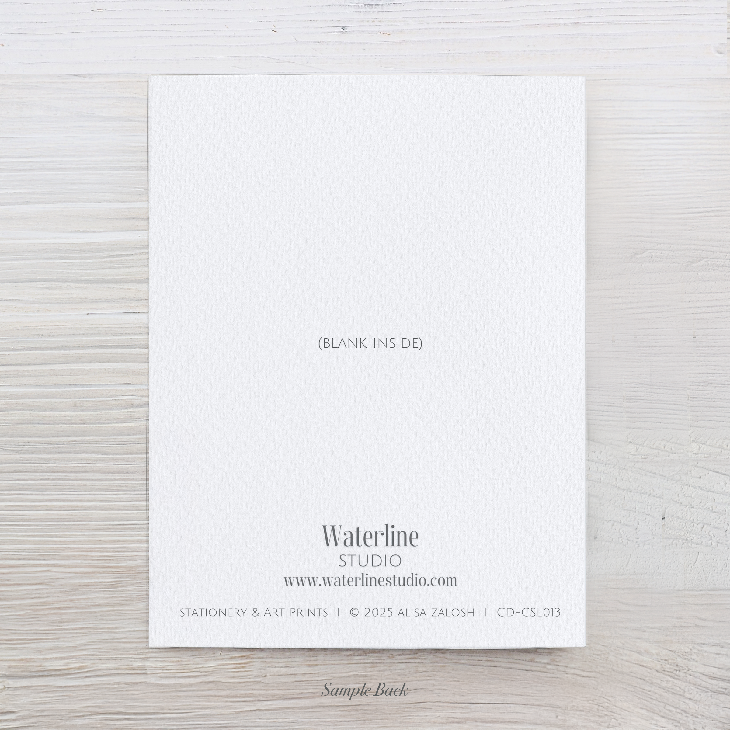 Watercolor Oyster Shell Note Card